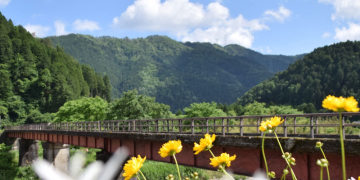 環境にやさしいの？