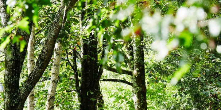 オーナーズクラブ