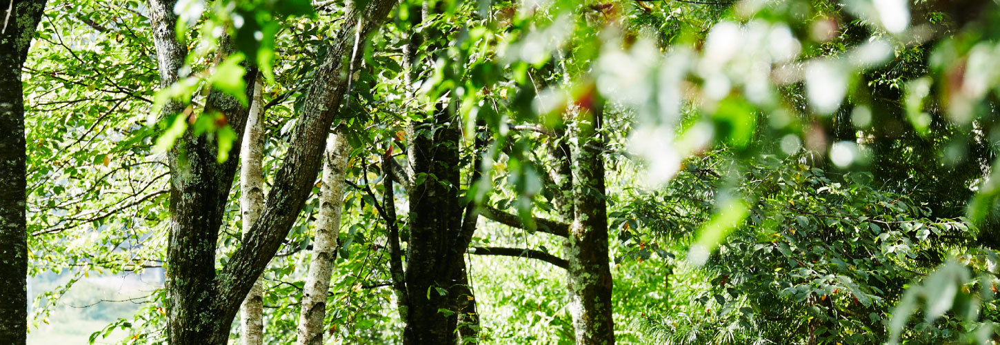 オーナーズクラブ