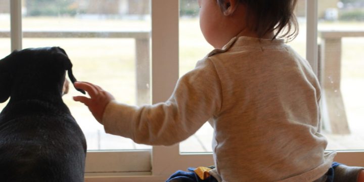 子どもやペットがいても大丈夫？