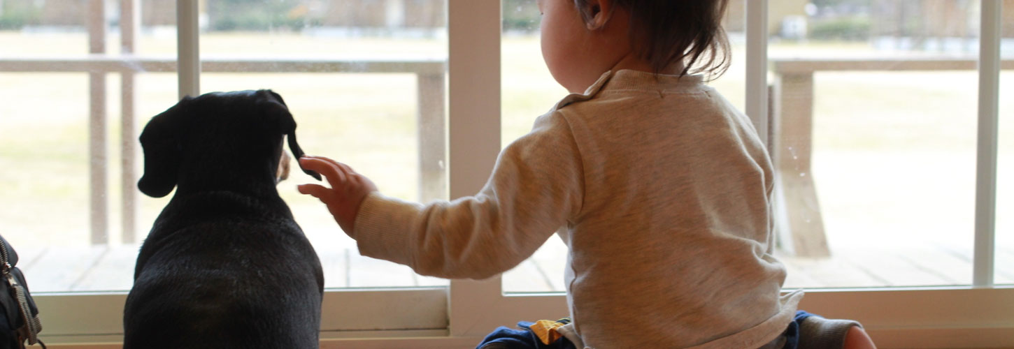 子どもやペットがいても大丈夫？